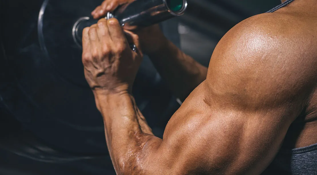 SARMs – Optimale Performance Supplements bei Fatburnerking